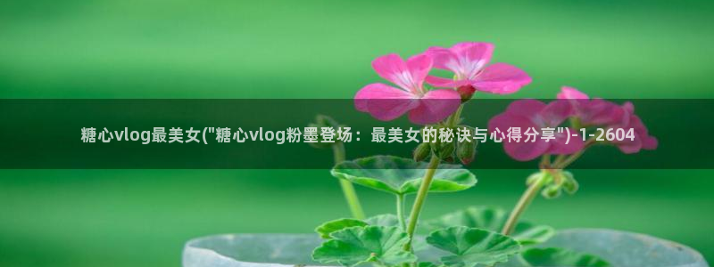 糖心vlog颜值