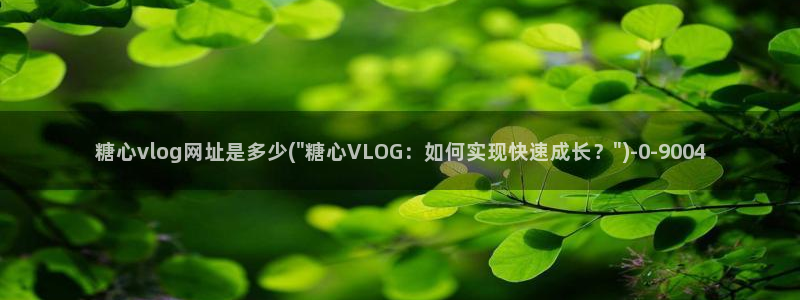糖心vlog 演员