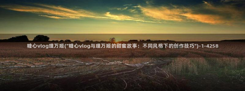 糖心vlog传媒演员