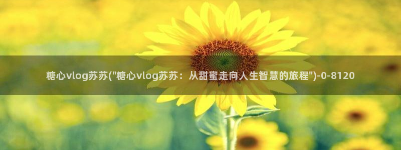 糖心vlog下载视频
