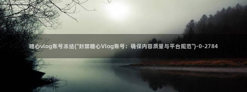 糖心vlog分享
