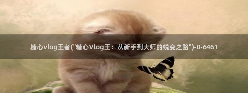 糖心视频vlog锅锅