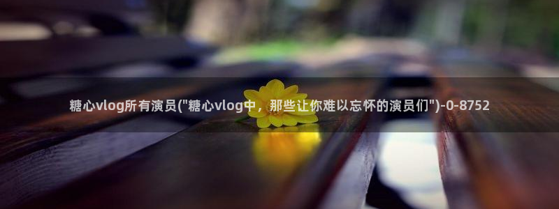 黄糖心vlog污网站