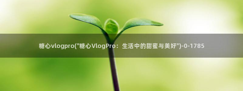 心糖vlog 破解版