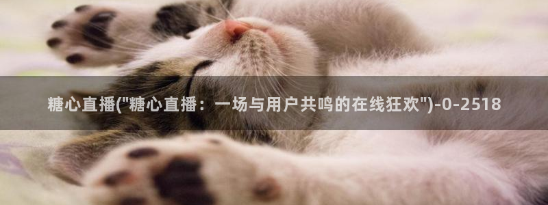 糖心vlog多乙