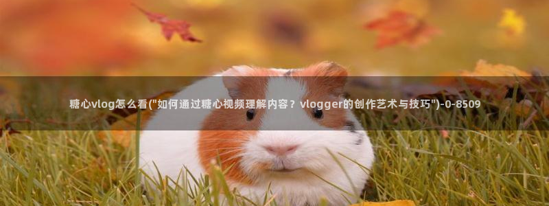糖心vlog抢先版：糖心vlog怎么看(\