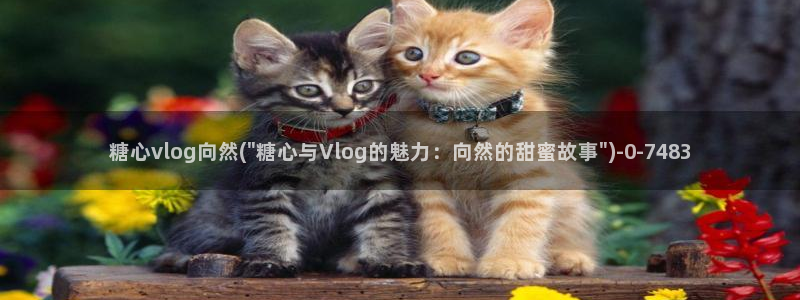 糖心vlog黄色下载