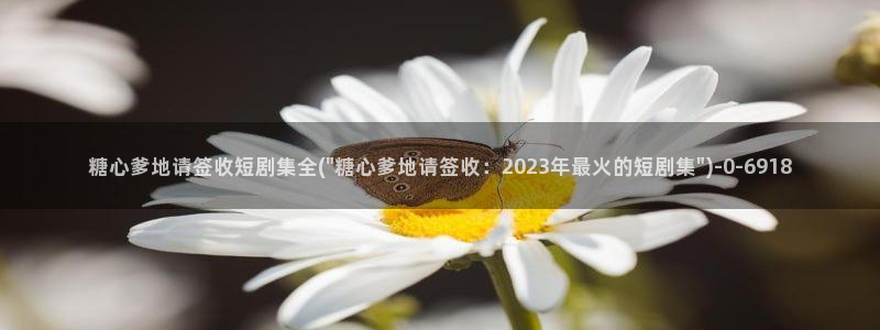 糖心vlog产精国品入口