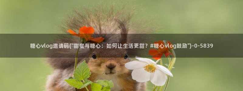 糖心vlogo