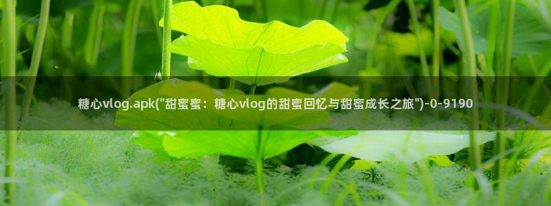 lingxi糖心vlog