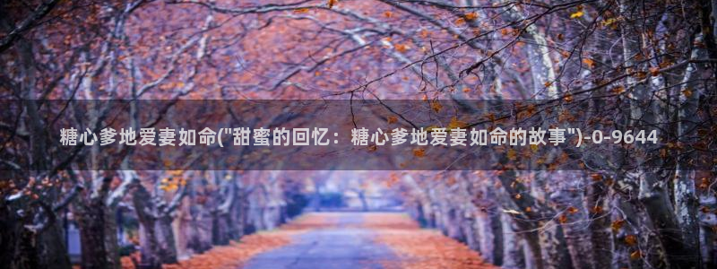 糖心 vlog破解版
