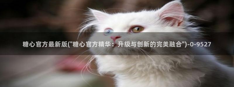 糖心vlog在线视频