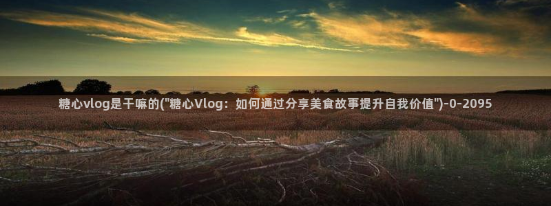 糖心原创vlog